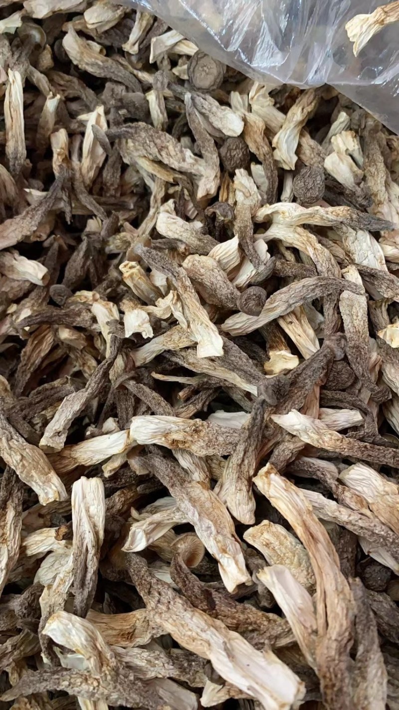 鹿茸菇中直条鹿茸菇鹿茸菇干品牌推广产地直发