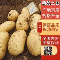 新鲜黄皮黄心土豆电商超市工厂大土豆打粉淀粉厂土豆
