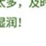 原生桂花树苗高杆黄金桂丹桂花苗庭院别墅地栽盆栽植物耐寒四季桂