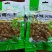 五香水煮花生厂家直发品质保证价格优惠可对接商超电商