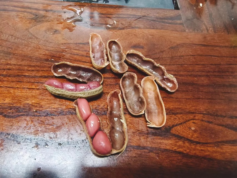 五香水煮花生厂家直发品质保证价格优惠可对接商超电商