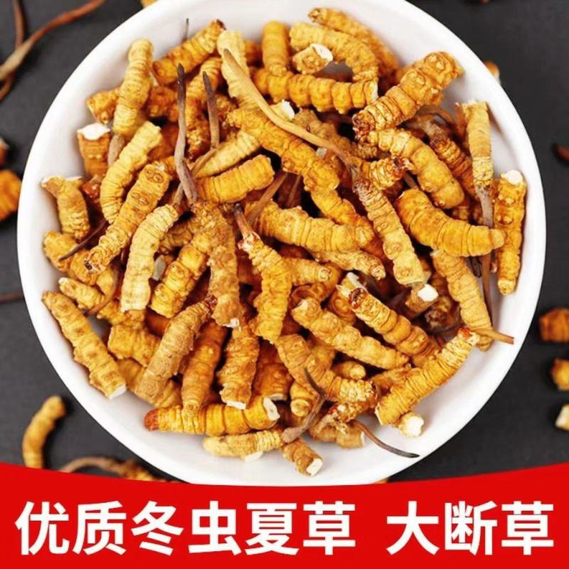 冬虫夏草断草纯肉体批发零售各种规格正宗西藏那曲大断草自用