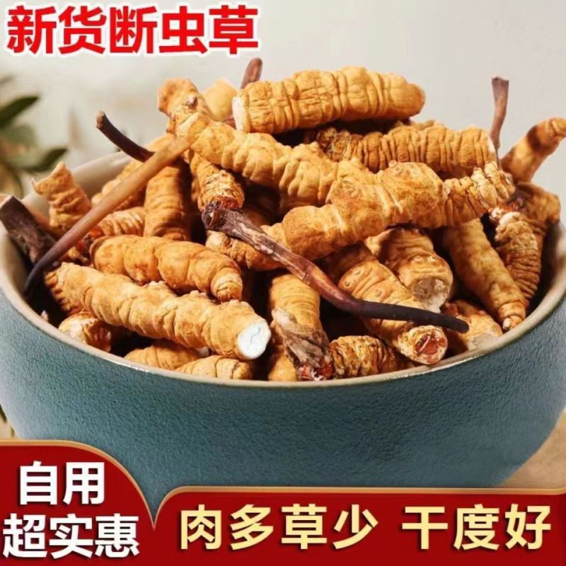 冬虫夏草断草纯肉体批发零售各种规格正宗西藏那曲大断草自用