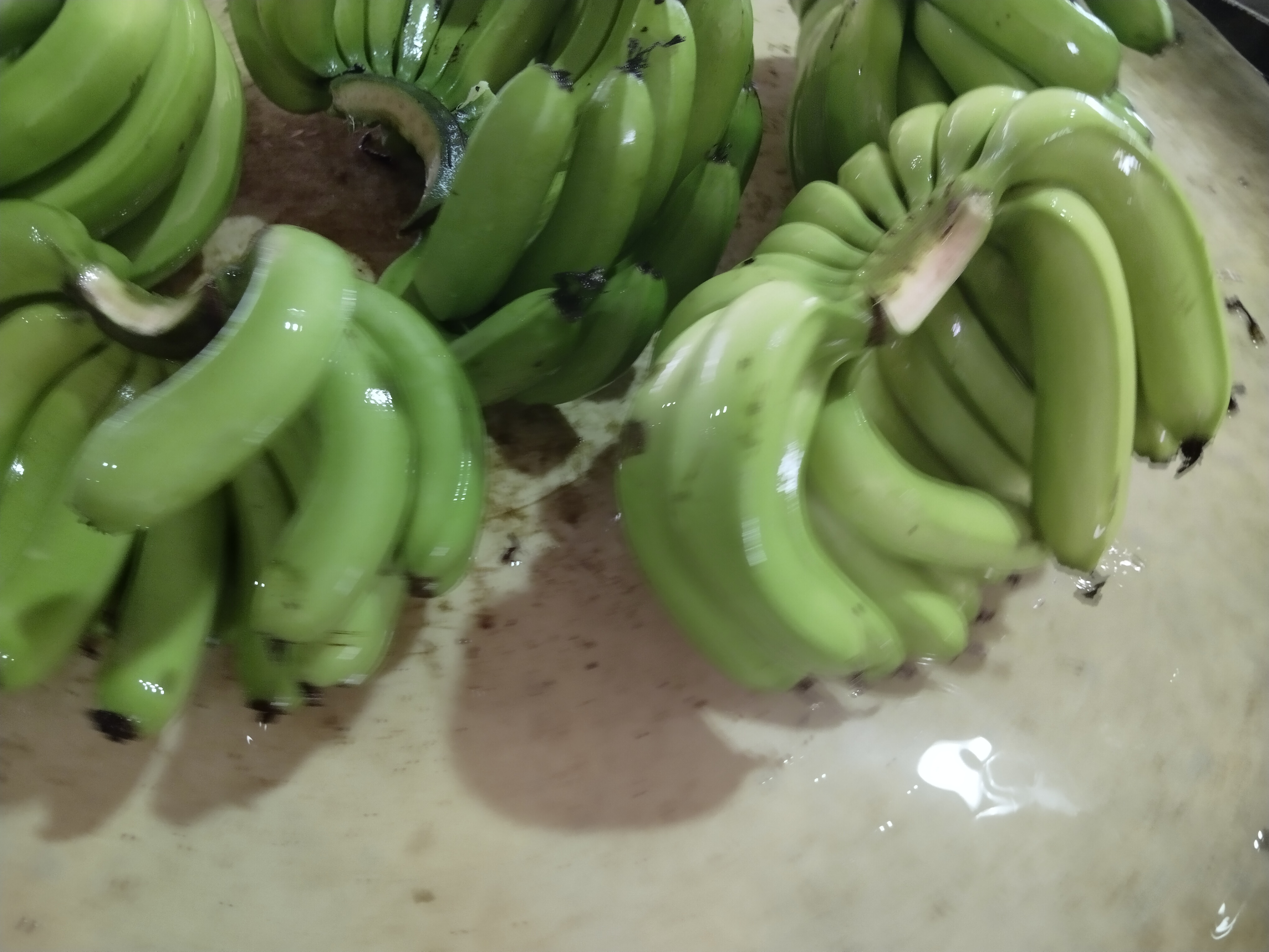 香蕉自然成熟与催熟对比图