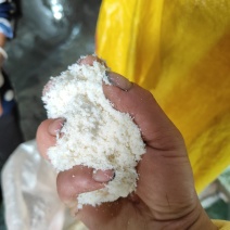新鲜豆渣