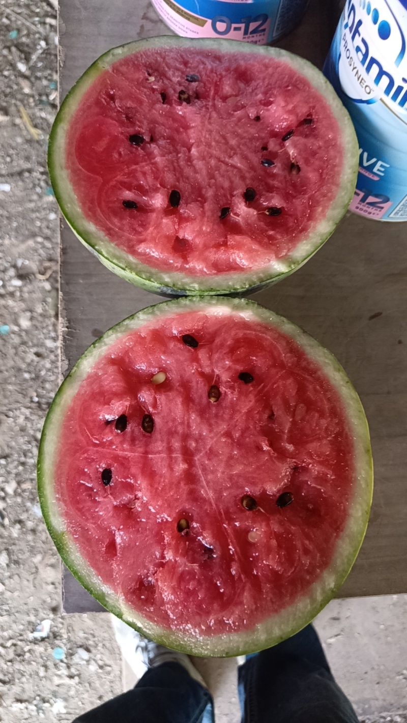莒县甜王西瓜大量有货