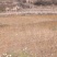 基地直销