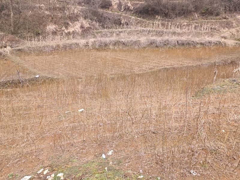 基地直销