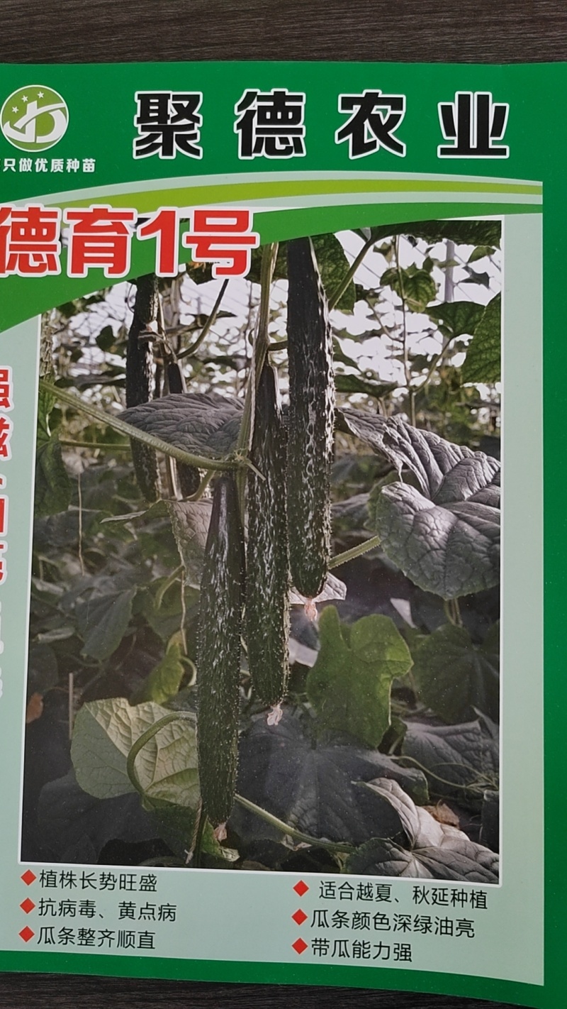 德瑞特，德育1号，抗高温，瓜条顺直，短把蜜刺