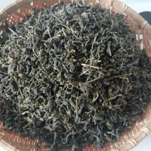 【自家种植】云南普洱茶烤青普洱茶晒青欢迎抢购