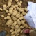 湖北土豆🥔大量上市