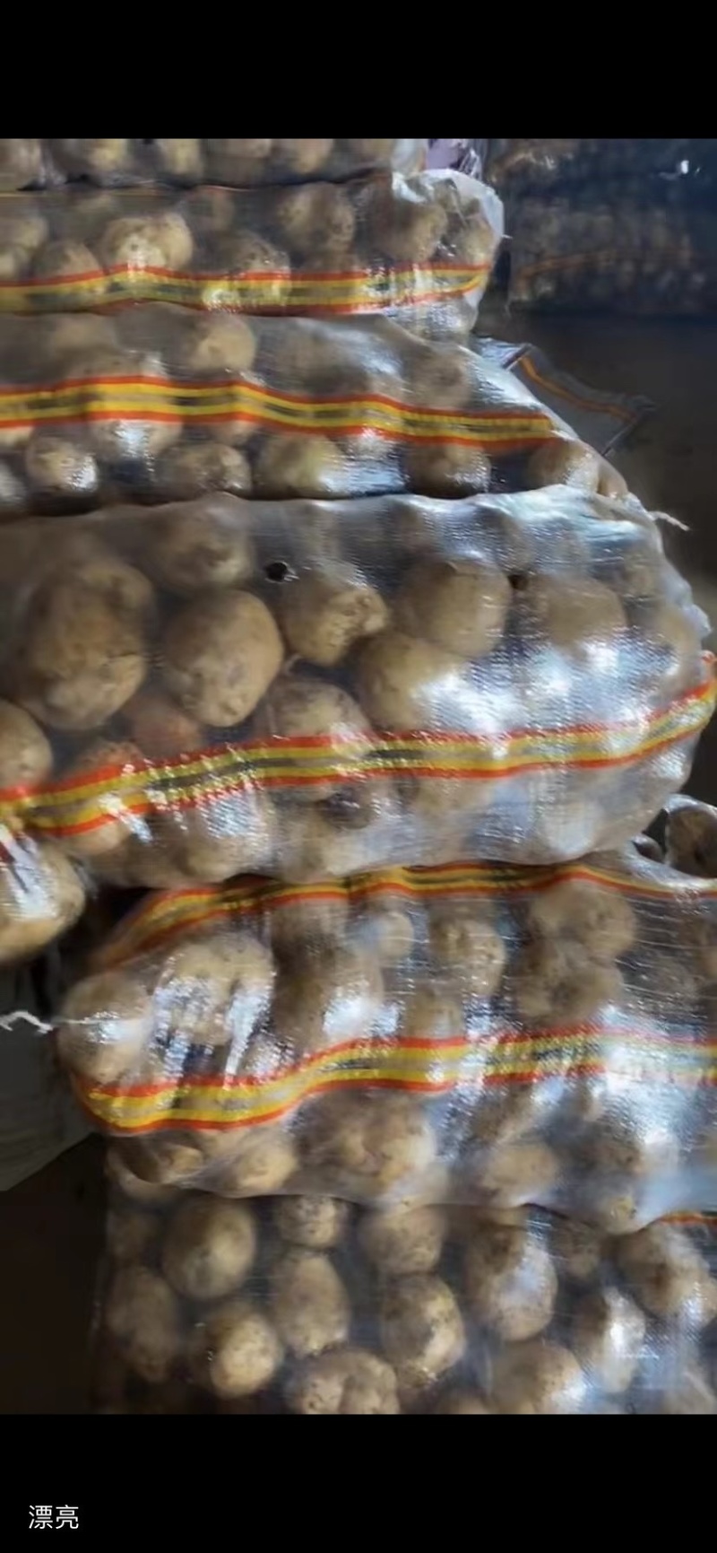 湖北土豆🥔大量上市