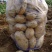 湖北土豆🥔大量上市