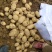 湖北土豆🥔大量上市