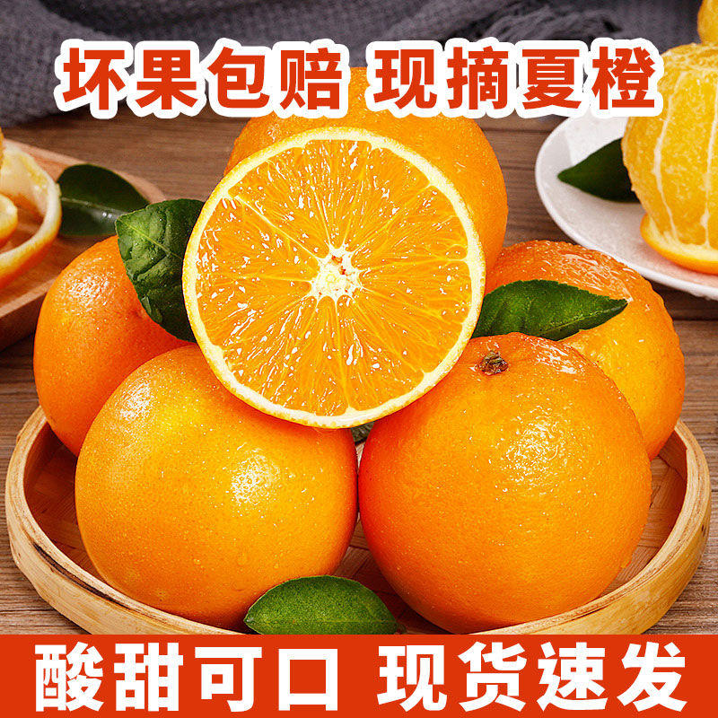 【夏橙】新鲜美味应季水果酸甜可口皮薄多汁大量供应
