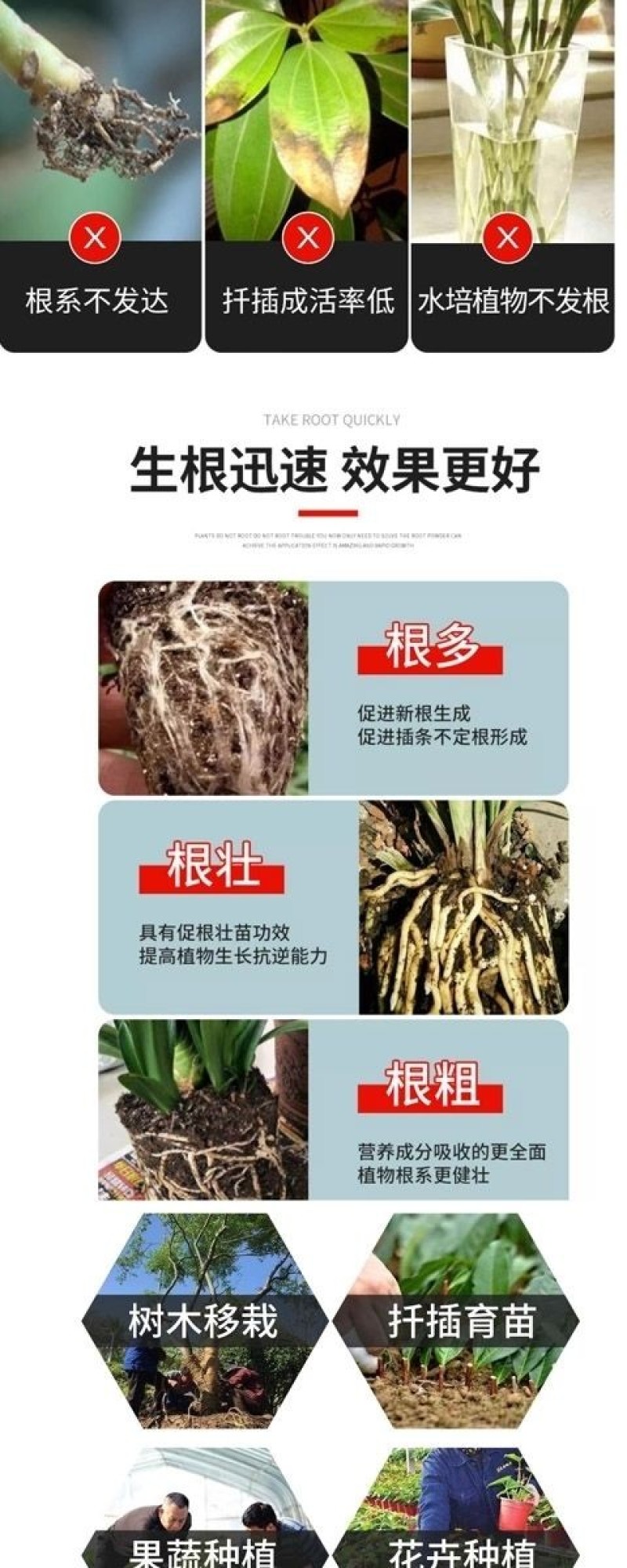 爱多森强力生根粉扦插用植物生根剂通用生根液果树苗木花移栽