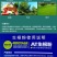 爱多森强力生根粉扦插用植物生根剂通用生根液果树苗木花移栽