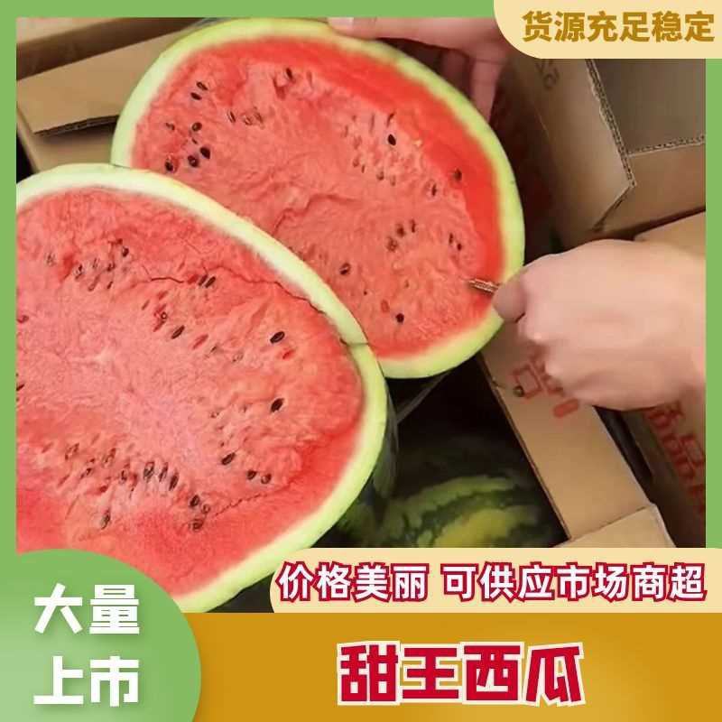 蒲城甜王西瓜大量上市，品质保证诚信经营货全国发货