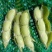 翠绿宝毛豆大量上市对接实力商家，大量批发