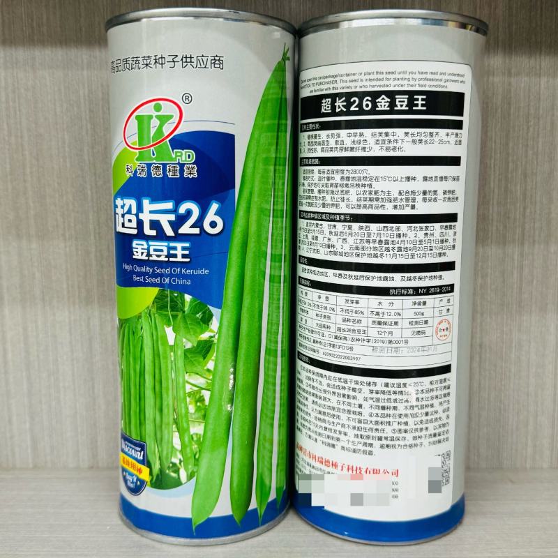 超长26金豆王种子中早熟荚多挂荚力强小金豆高产无筋大田基