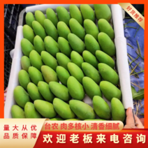 【芒果】广西台芒小台芒产地直发量大优惠接一件代发