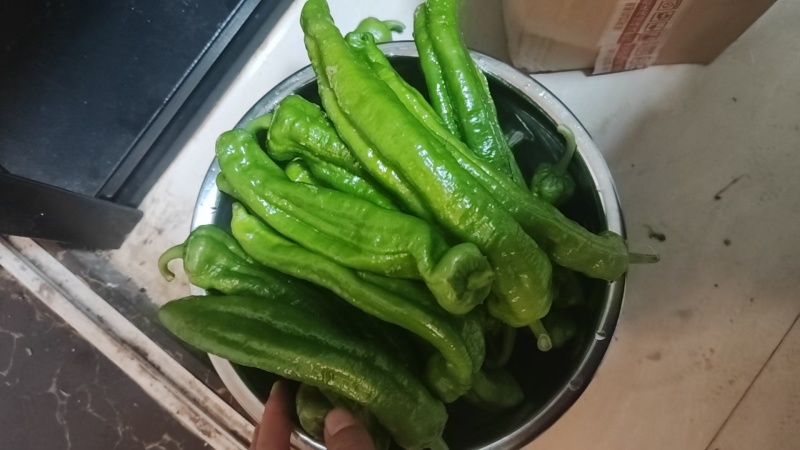 泡椒精品泡椒青皮椒