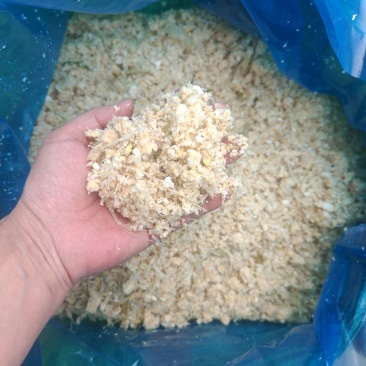 青贮玉米芯广东基地直发一手货源质量保证对接全国客商