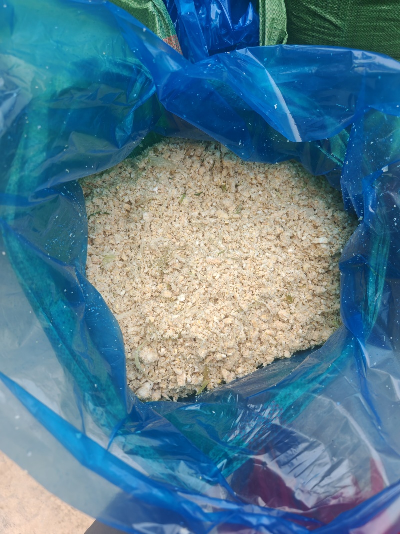 青贮玉米芯广东基地直发一手货源质量保证对接全国客商