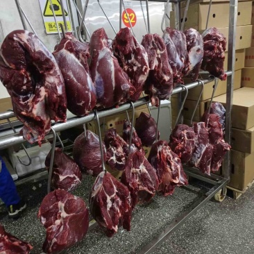 三扒一霖，公牛牛后腿肉，通货，国产纯干冰鲜，精修去油。