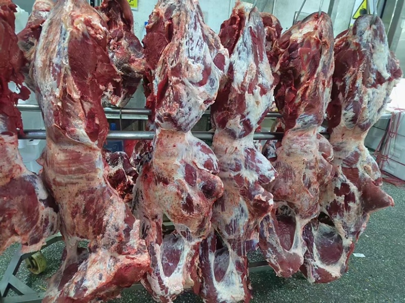 三扒一霖，公牛牛后腿肉，通货，国产纯干冰鲜，精修去油。