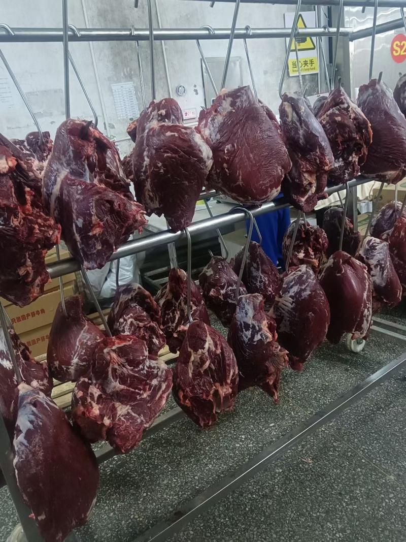 牛后腿肉，国产纯干冰鲜，精修排酸48小时，顺丰冷链