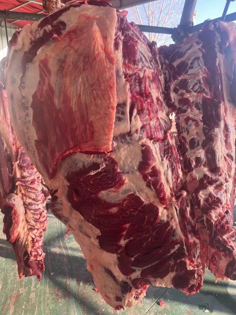 牛后腿肉，国产纯干冰鲜，精修排酸48小时，顺丰冷链