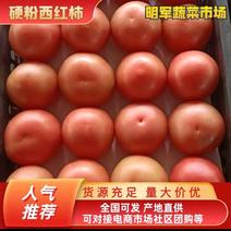 硬粉西红柿内黄西红柿冷棚西红柿大量上市
