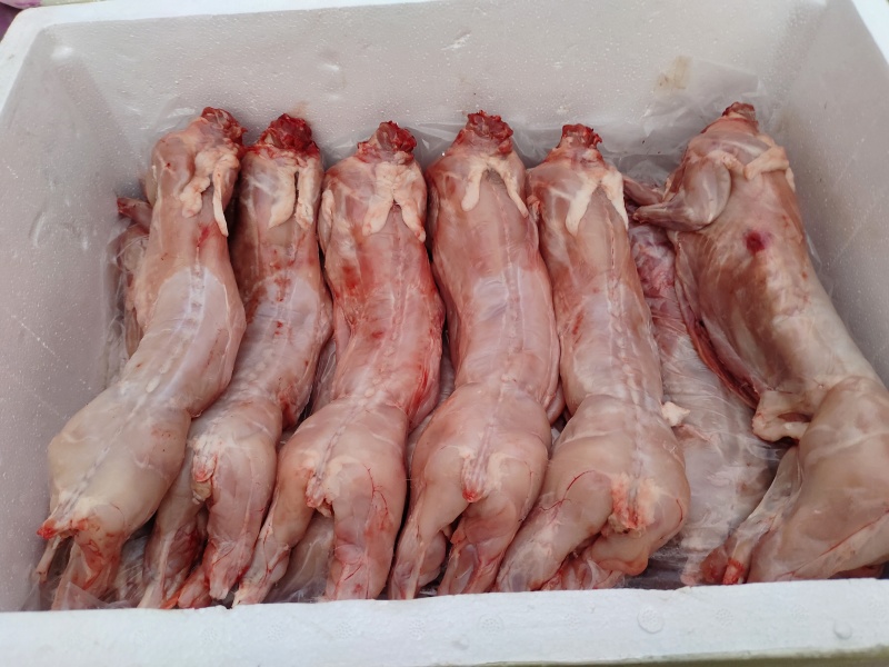 兔肉批发