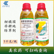 惊天海10%精草铵膦铵盐草铵膦农药柑橘园荒地除草剂灭草剂