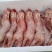 兔肉批发