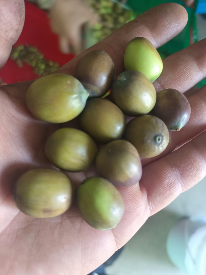 花莲子草莲子，产地当天现采现发，品质有保证，价格优惠