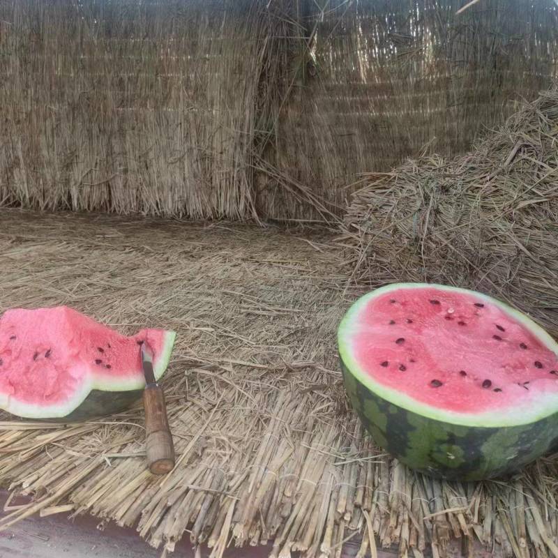 美都，和甜王