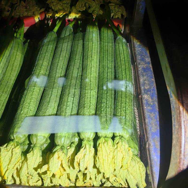 鲜花丝瓜大量货源，价格便宜