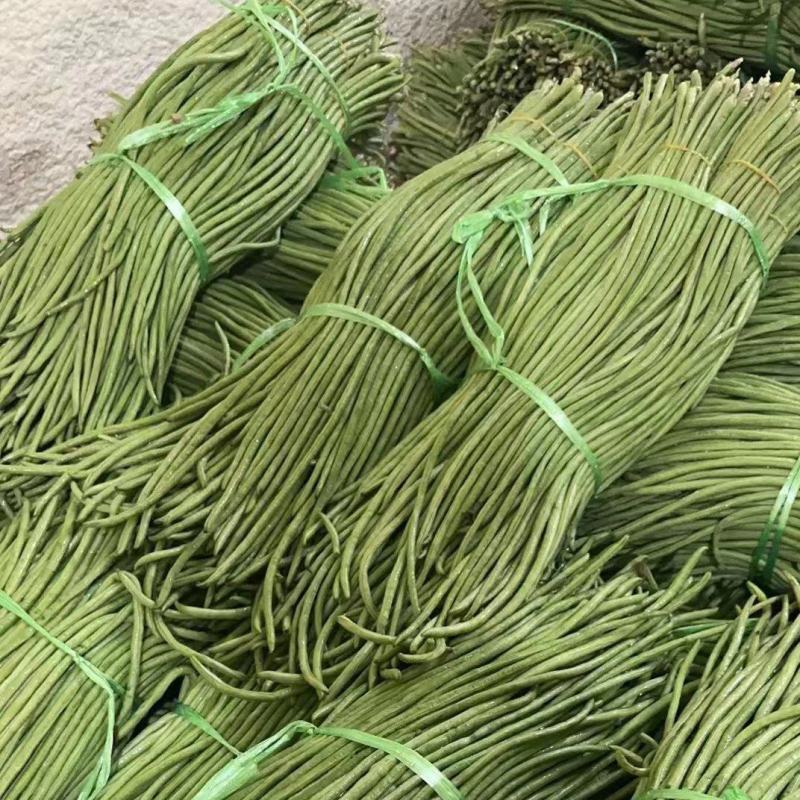 本地长豆角大量上市新鲜现摘翠绿无筋基地直供量大价优