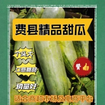 费县精品博洋61，羊角蜜。强势来袭，价格美丽