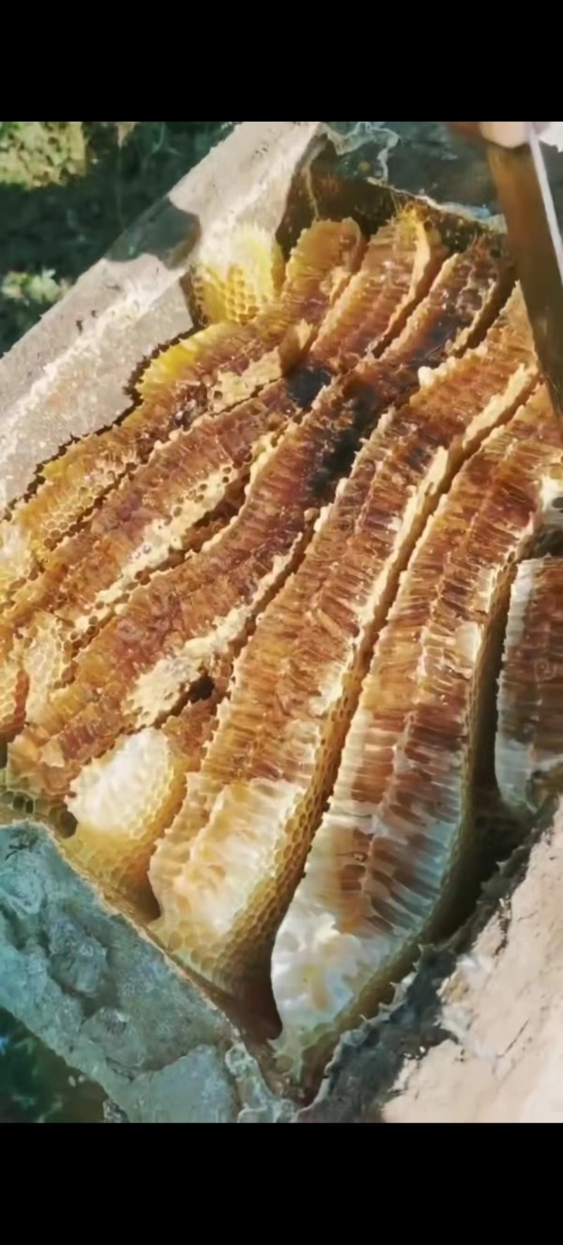 蜂蜜正宗土蜂蜜无添加剂大挂蜂蜜保证品质