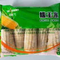 玉米（万诺2000，万诺8）
