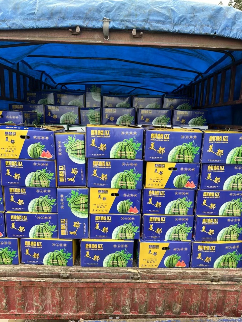 精品美都301大量有货，需要的老板抓紧时间联系