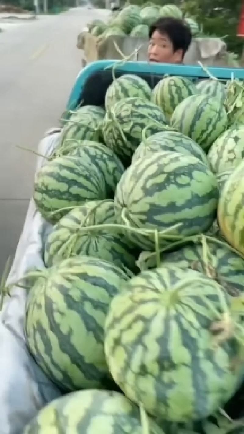 美都大量上市