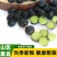 东北精品青仁黑豆绿心黑豆黑豆腐黑豆浆商用家用均可