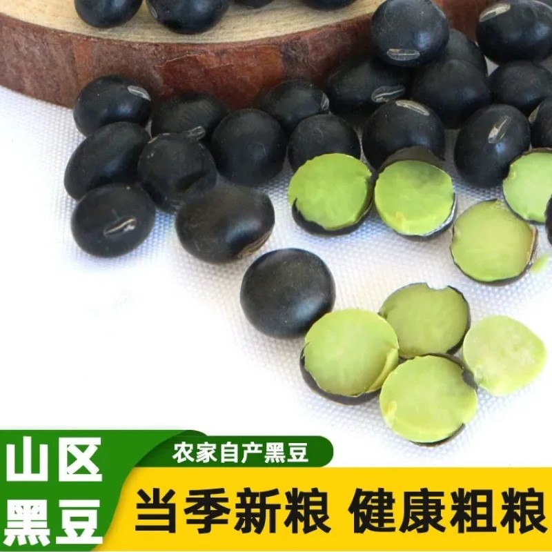 东北精品青仁黑豆绿心黑豆黑豆腐黑豆浆商用家用均可