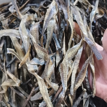 地龙精品半开地龙个批发零售各种规格中药材