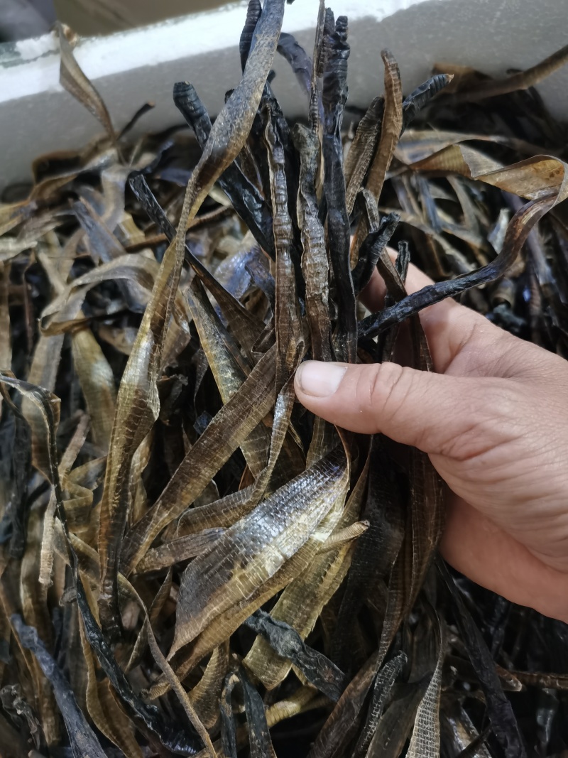 地龙精品半开地龙个批发零售各种规格中药材