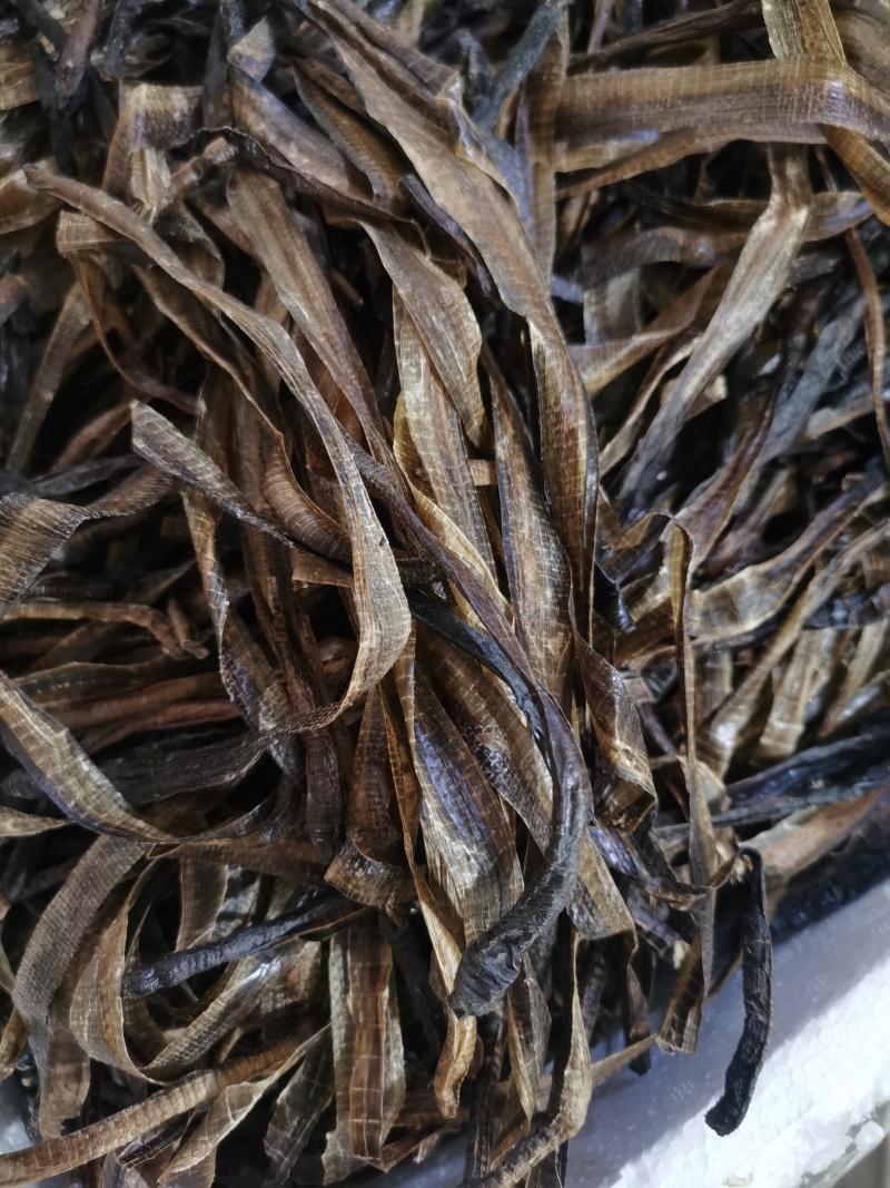 地龙精品半开地龙个批发零售各种规格中药材